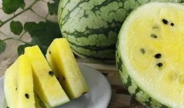 吃瓜黑料精品一区